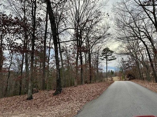 000 Bass Rock Road, Van Buren, MO 63965