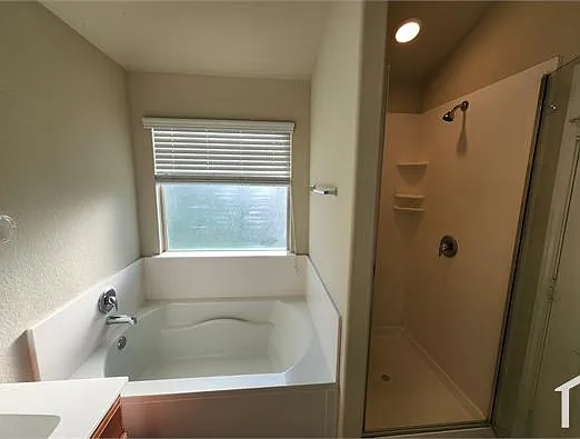3217 Jackal Dr — Photo 19