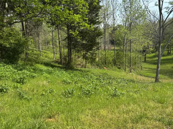 57&58 Docks Of The Bay Dr, Rockwood, TN 37854