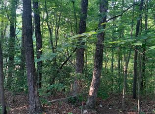 Blue Ridge Dr, Blue Ridge, GA 30513