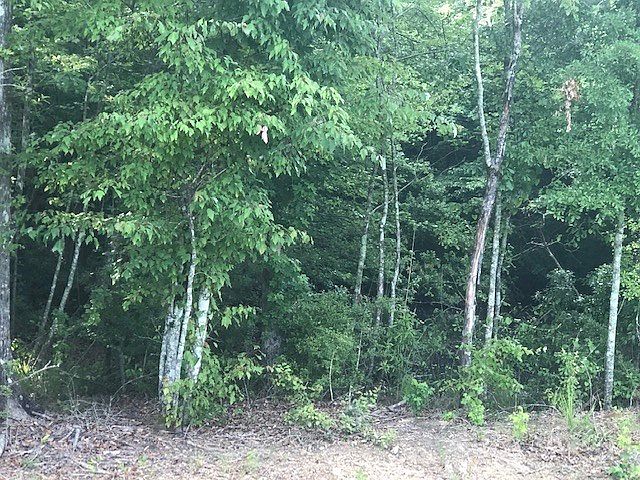 2nd image of 2034 Joel Lang Rd #&-2026