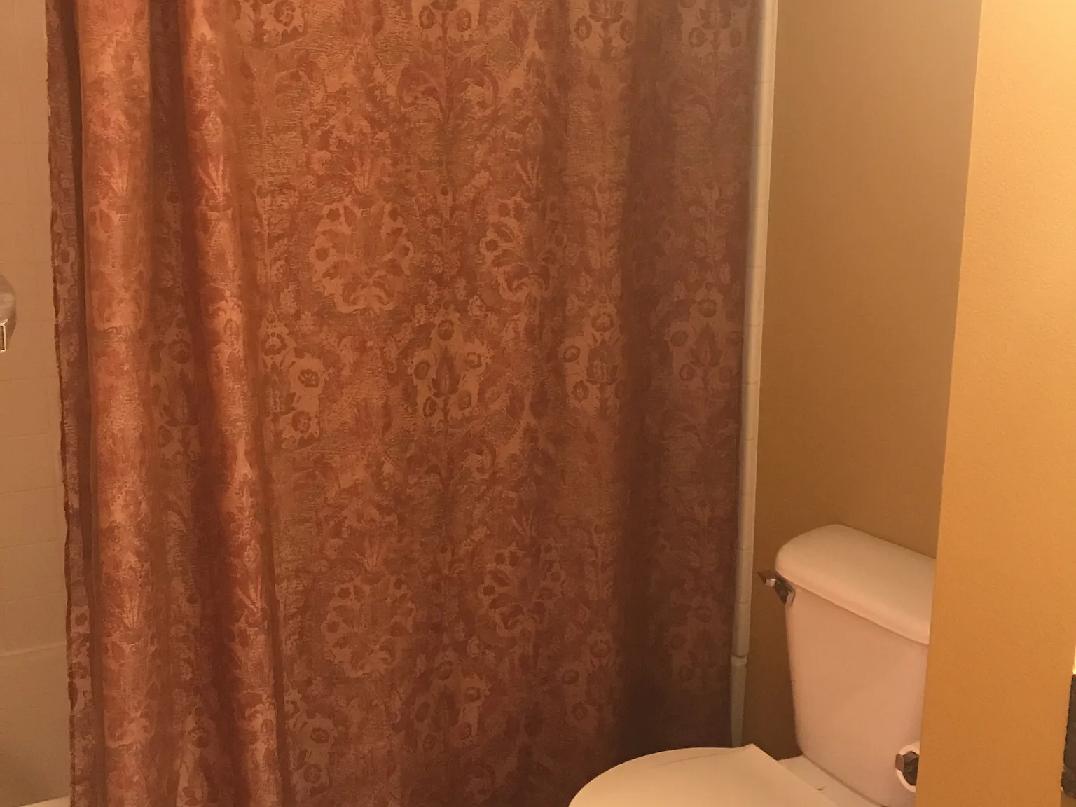 1 bed, 449 sqft, $1,250 — Photo 4