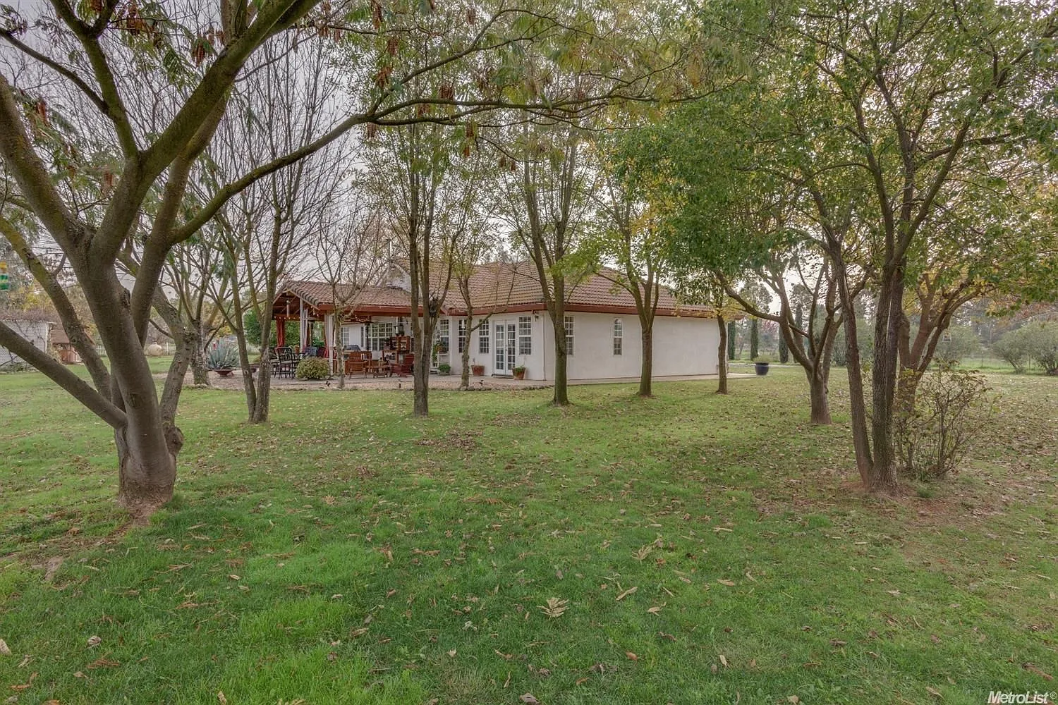 12381 Woods Rd photo 1