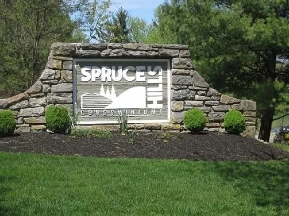 1413 Spruce Hills Dr, Glen Gardner Boro, NJ 08826