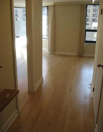 3rd image of 401 E Ontario St APT 1005
