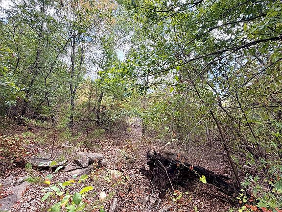 4th image of TRACT 7 Pecan Shell Rd