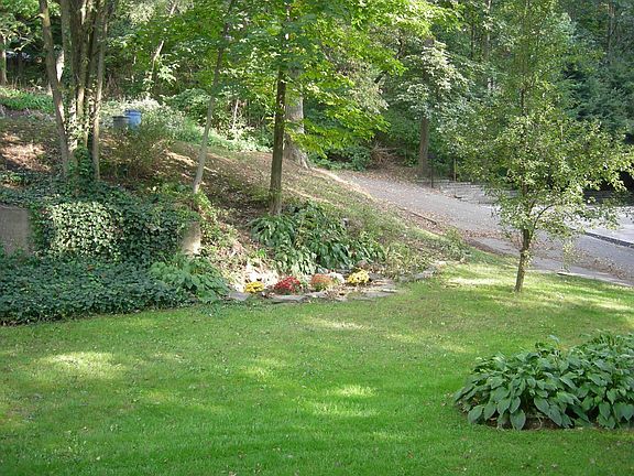 view from kitchen