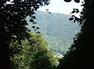 0 Dads Retreat Trl, Canton, NC 28716