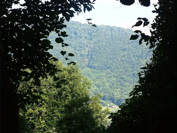 0 Dads Retreat Trl, Canton, NC 28716