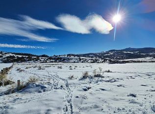 469 Soaring Eagle Ln, South Fork, CO 81154