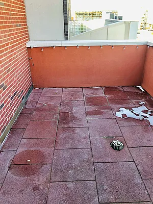 Rented by Bell Realty | media 8