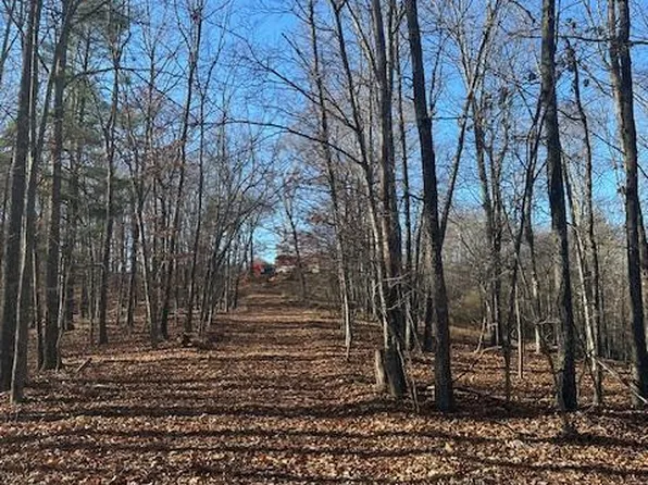 Shadow Ridge Ln, Great Cacapon, WV 25422