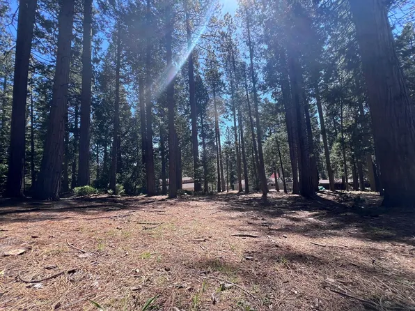 2121 Chaparral Dr, Arnold, CA 95223