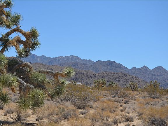 5th image of 11872 S Date Creek Rd