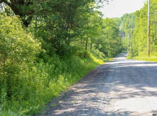 Camp Winsoki Rd, Rensselaerville, NY 12147