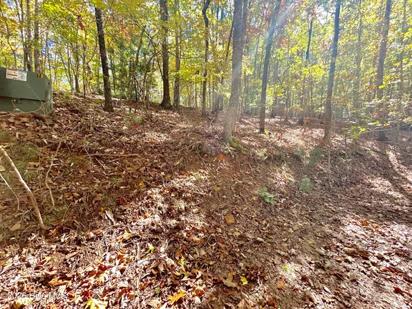 Lot 1,2 Royal Oaks Trail, Brasstown, NC 28902