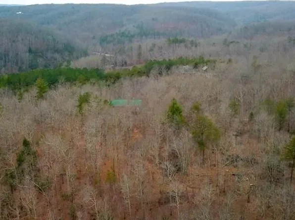 0 Mangled Vine Trl #18, Crawford, TN 38554