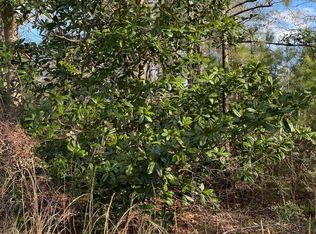 Ten Mile Church Rd, Perkinston, MS 39573