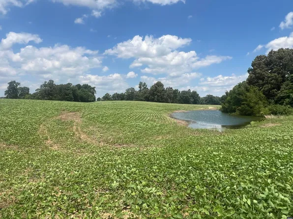 Claude Tucker Rd, Union City, TN 38261