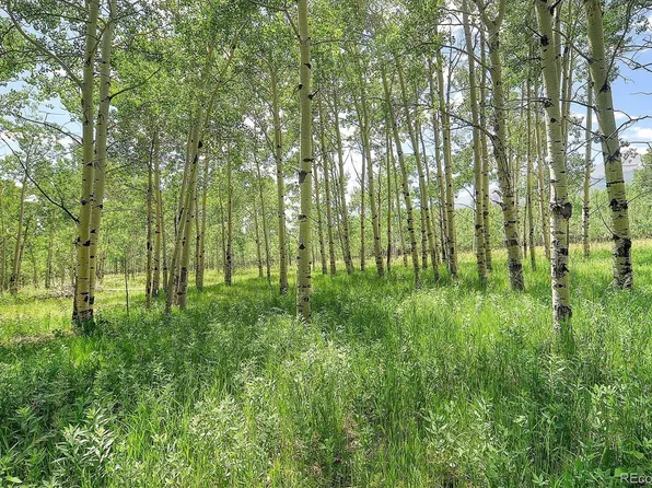 310 CO RD 159, Westcliffe, CO 81252