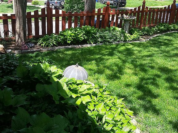 back yard