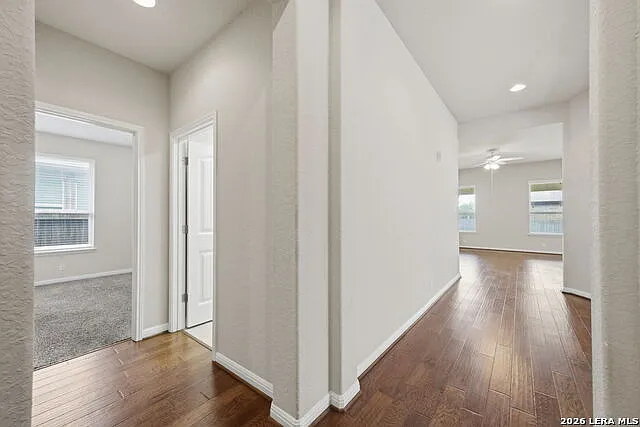 309 Albarella — Photo 8