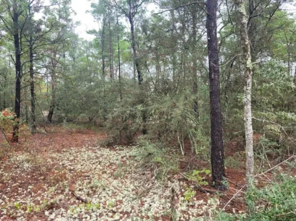 LOT 12 E Snapdragon St, Defuniak Springs, FL 32433