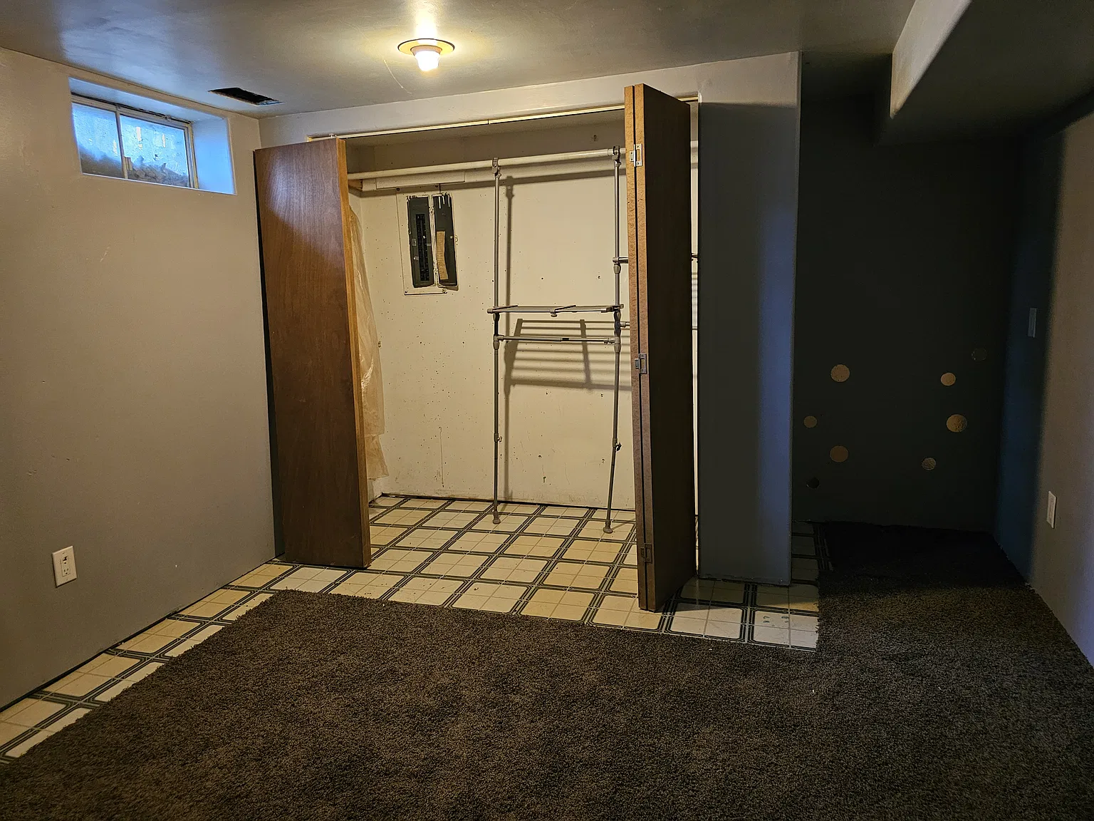 Sagebrush — Photo 3