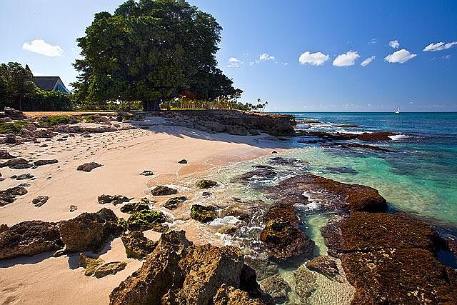 Natural sandy beach that is directly in front of the property