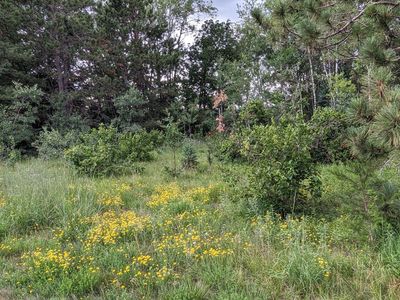 9581 E Spruce Dr, Gordon, WI, 54838