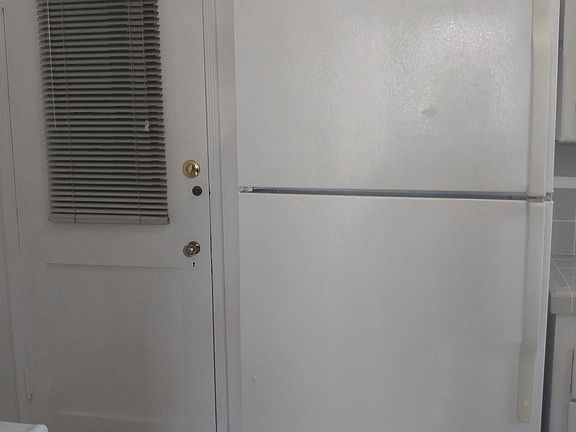 Refrigerator and back door 