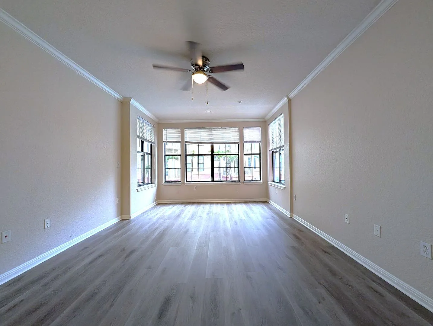 1x1 Spacious, bright and comfortable! Newly renovated! Walk to Lake Ivanhoe! — Photo 2