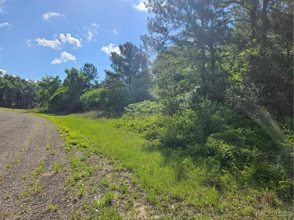 622 E Abady Ln, Citrus Springs, FL 34434