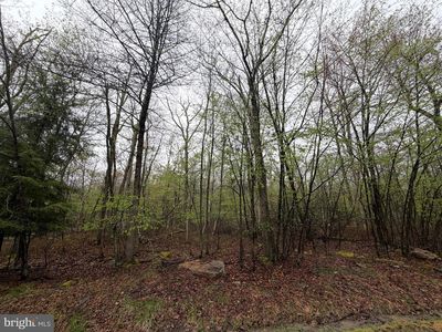 570 Haystack Dr, Zion Grove, PA, 17985