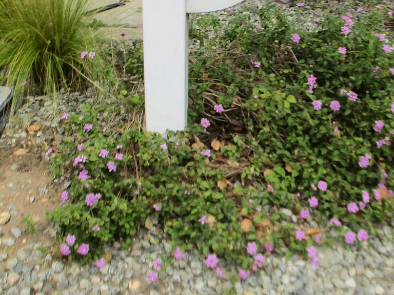 756 Linda Vista Ave — Photo 31