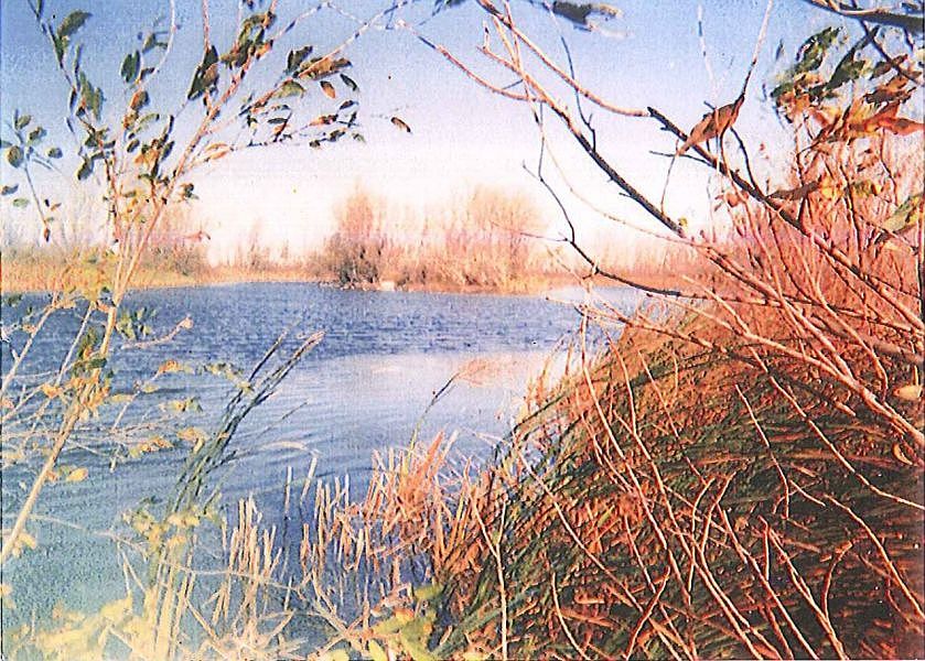 1st image of L4b2 Natures View Est #2