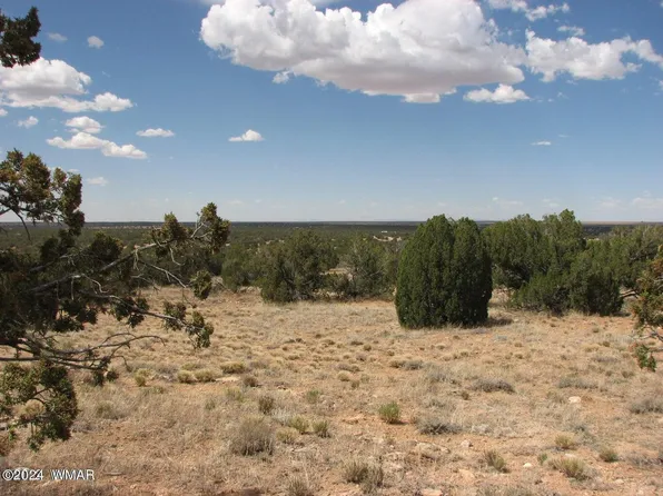 44 Chevelon Retreat #1, Heber, AZ 85928