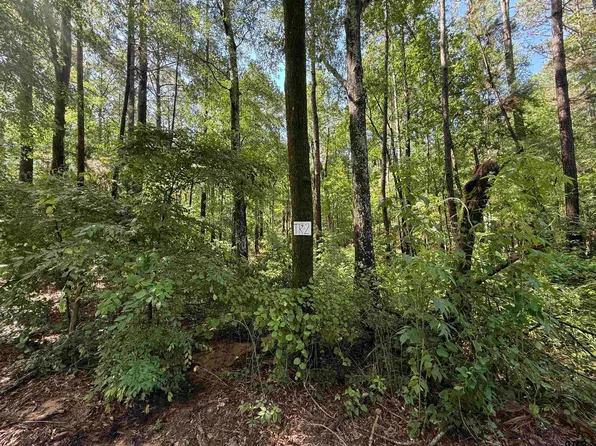County Road 4194 Trl #2, Henderson, TX 75654
