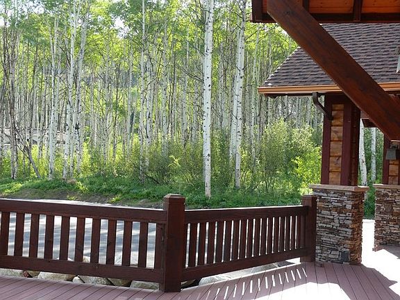Aspen grove on the property