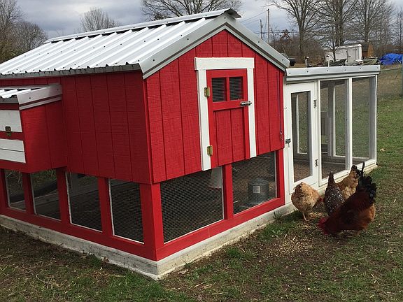 Chicken Coope