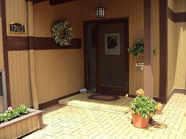 Main Entry Cozy