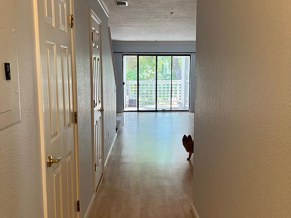 View from front door (dog not included - provided for scale only).