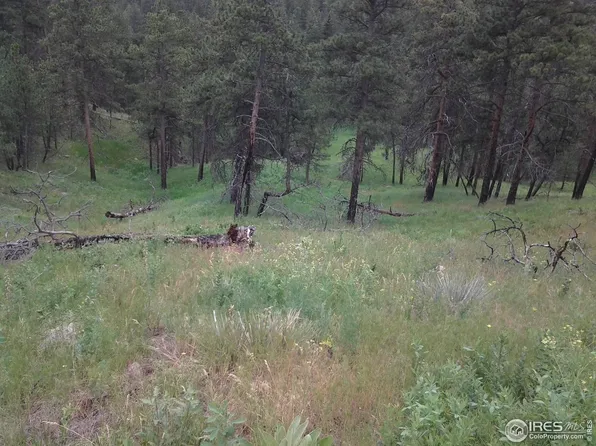 0 E 1/2 OF SE 1/4 OF NW 1/4 25-8, Bellvue, CO 80512