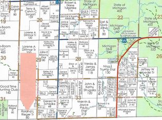 2804 Chaskey Road 80 Acres, Ocqueoc, MI 49759