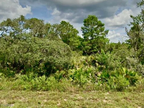 1314 Oleander St, Lake Placid, FL 33852