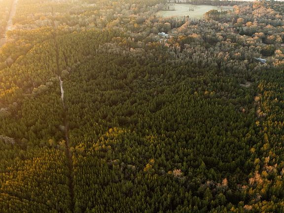 Dji 20260206065858 0009 D