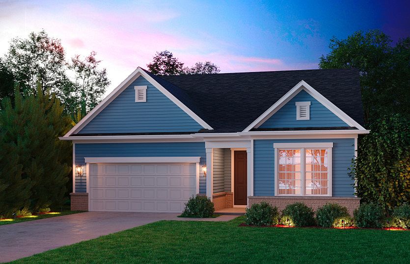 Model Representation