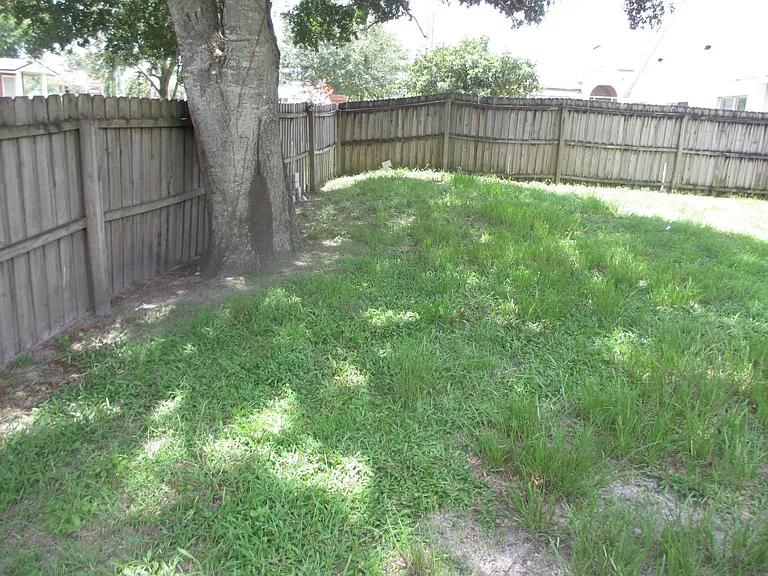 fenced back yard