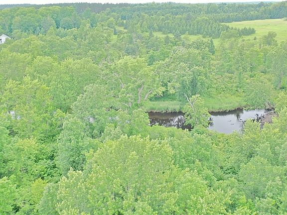 2nd image of 5.1 Acres On Bert Schmidt Circle