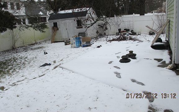 back yard
